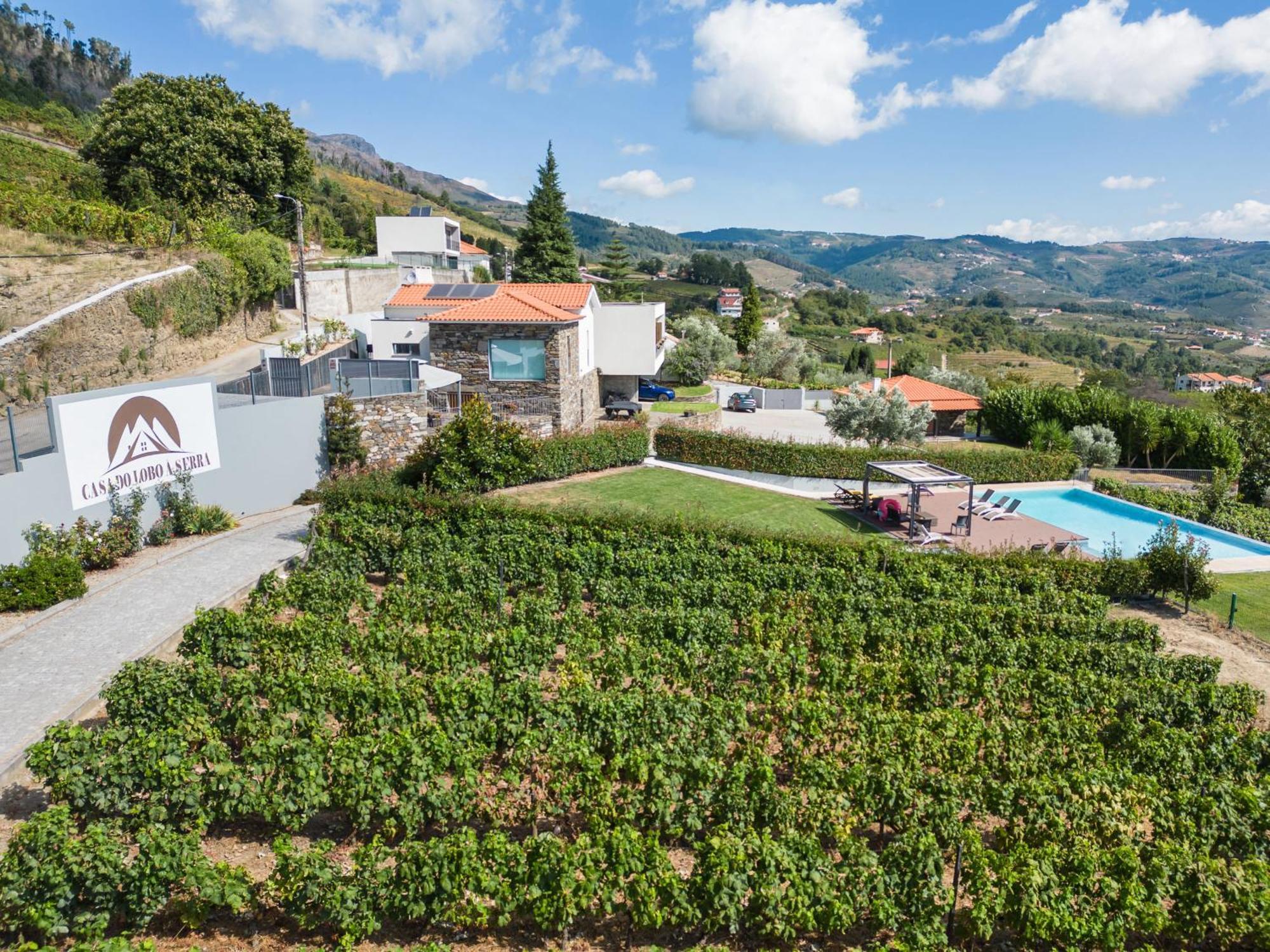 Feel Discovery Douro House